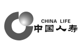 合作伙伴 中國人壽