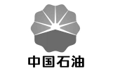 合作伙伴 中國石油