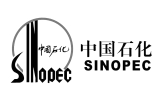 合作伙伴 中國石化